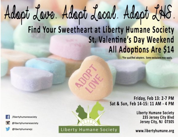 Adopt_Love_Flyer