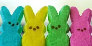 Easter candy bunny peeps