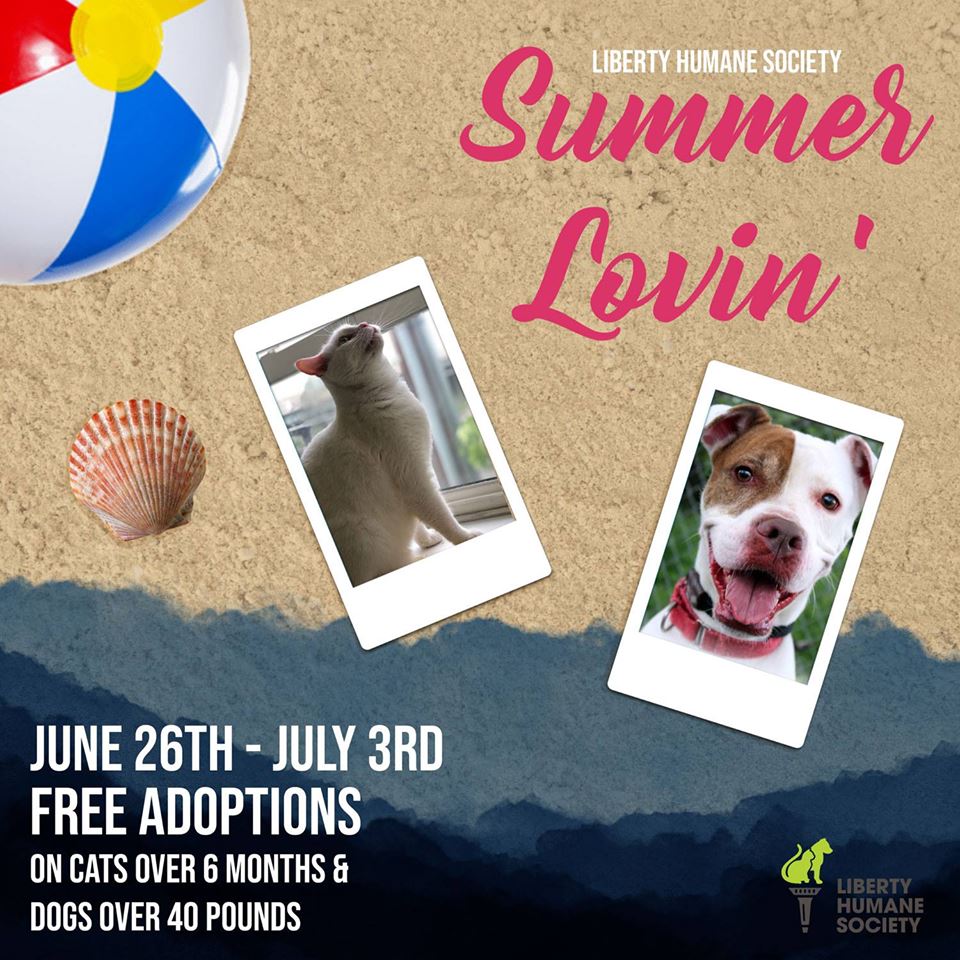 36031394_10156393851358718_8140139353037864960_n