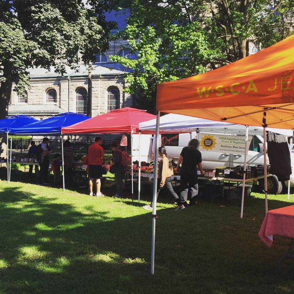 61824756_2276838559051594_4713886620661579776_n