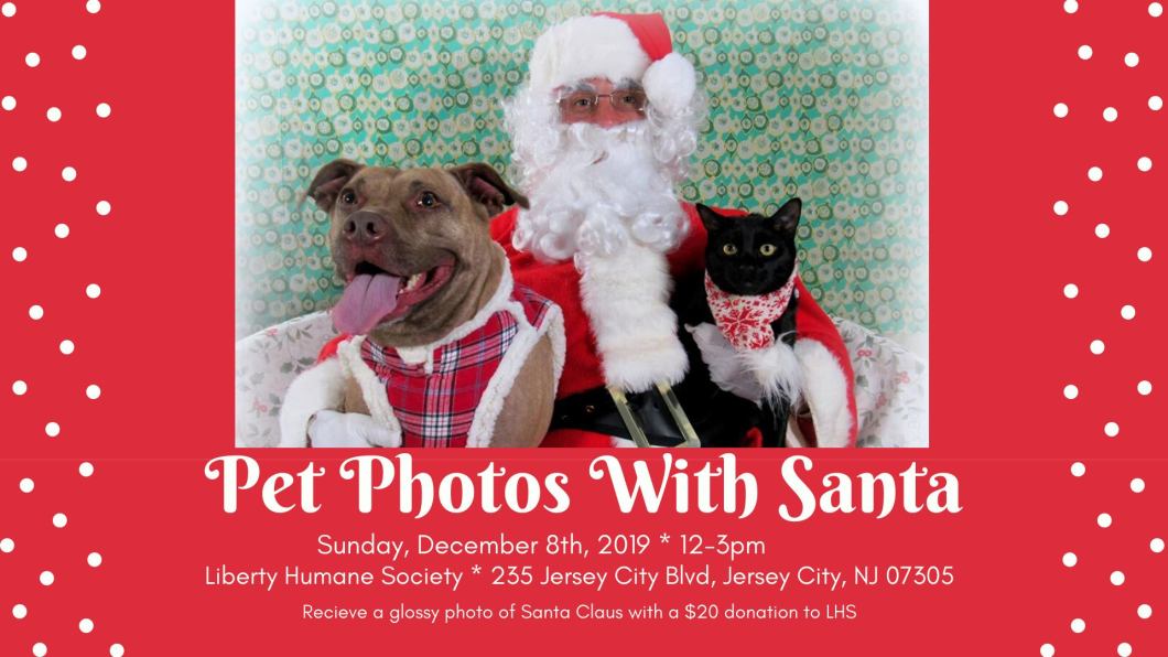 76648988_10157656867363718_5388866651355611136_o