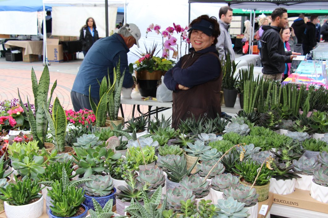 57395713_2660310927344048_5243474754186248192_o