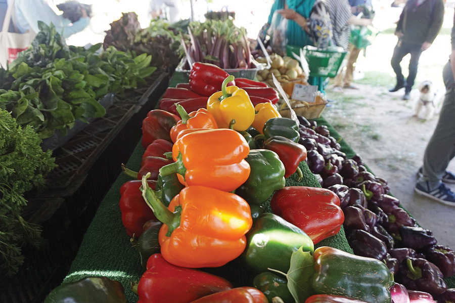 8V8D_05acfarmer24_1_