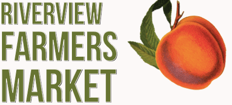 Screen Shot 2020-08-04 at 10.44.37 AM